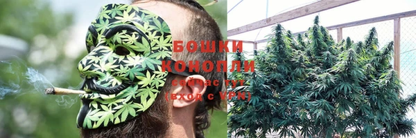 ГАЛЛЮЦИНОГЕННЫЕ ГРИБЫ Горнозаводск