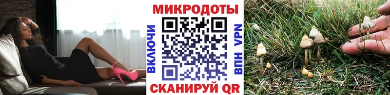 Галлюциногенные грибы ЛСД Купить где Нефтеюганск